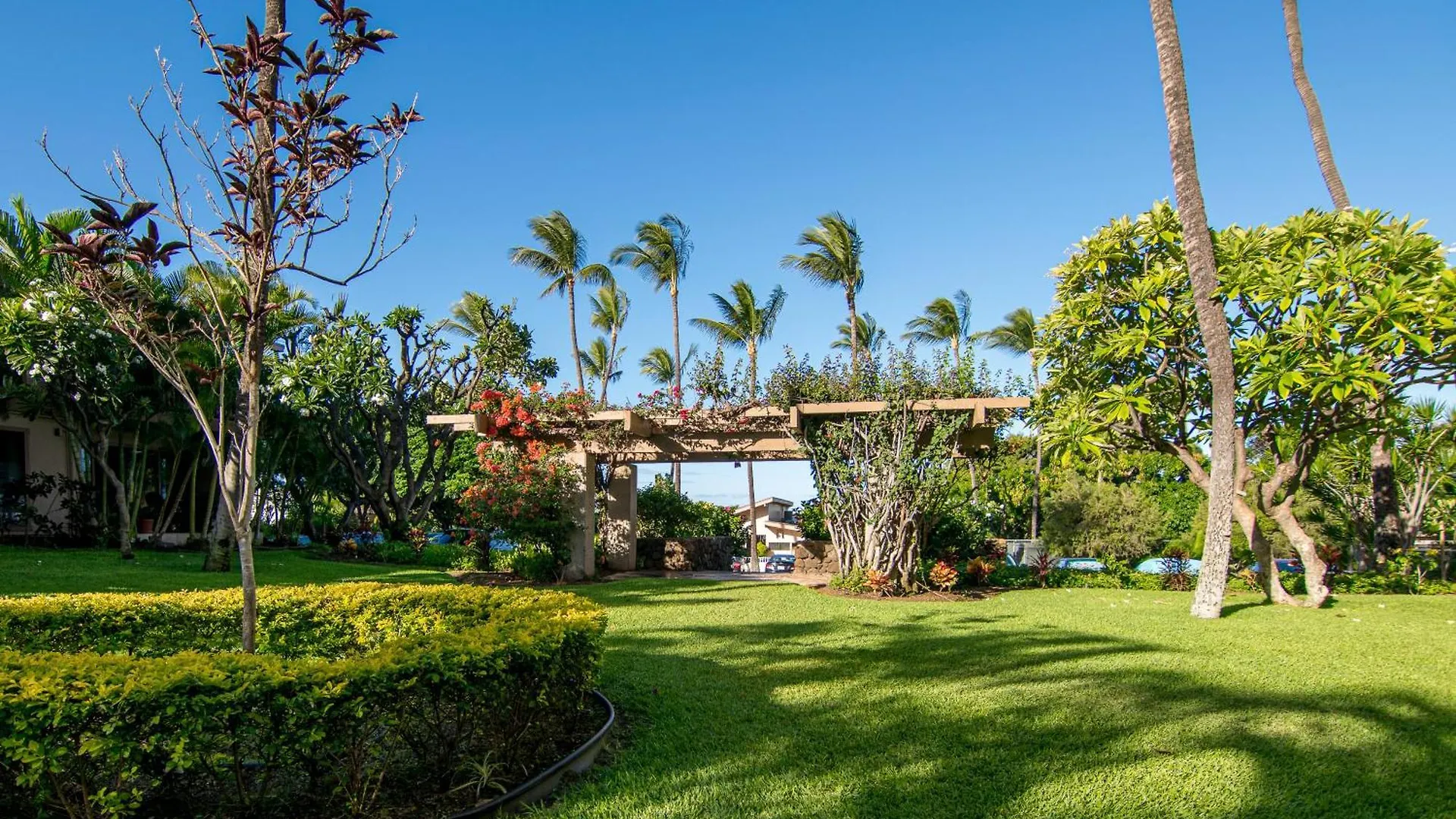 Kihei Akahi Garden View Studio Wailea  Wailea (Maui)